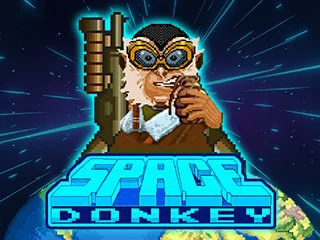 SpaceDonkey.webp